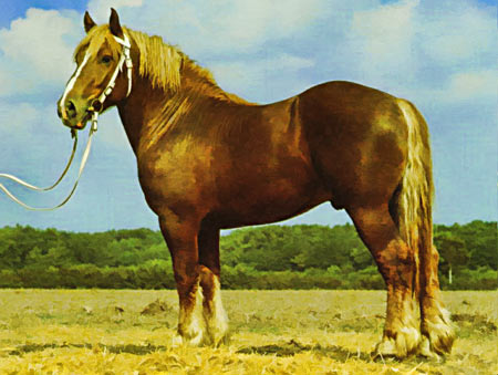 SCHLESWINGER DE TRACTIUNE